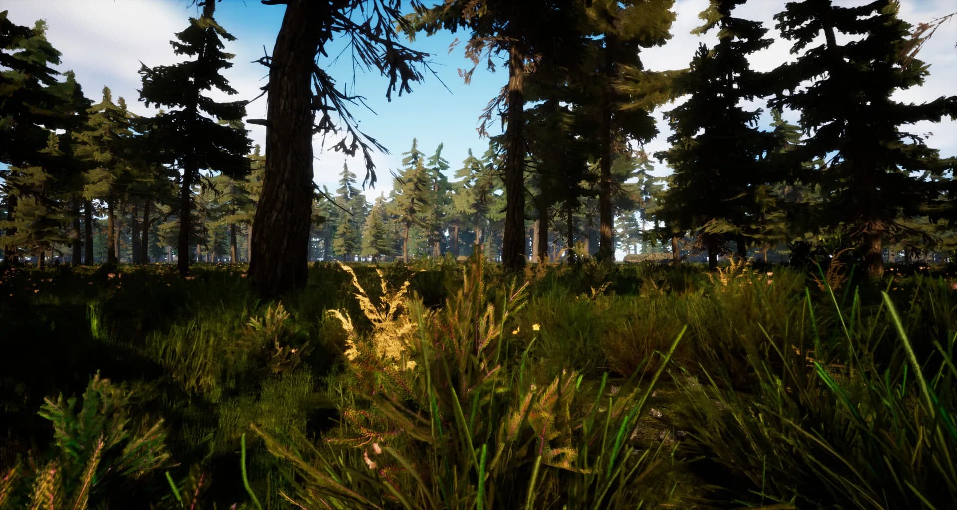 Deadly Survival görsel 7