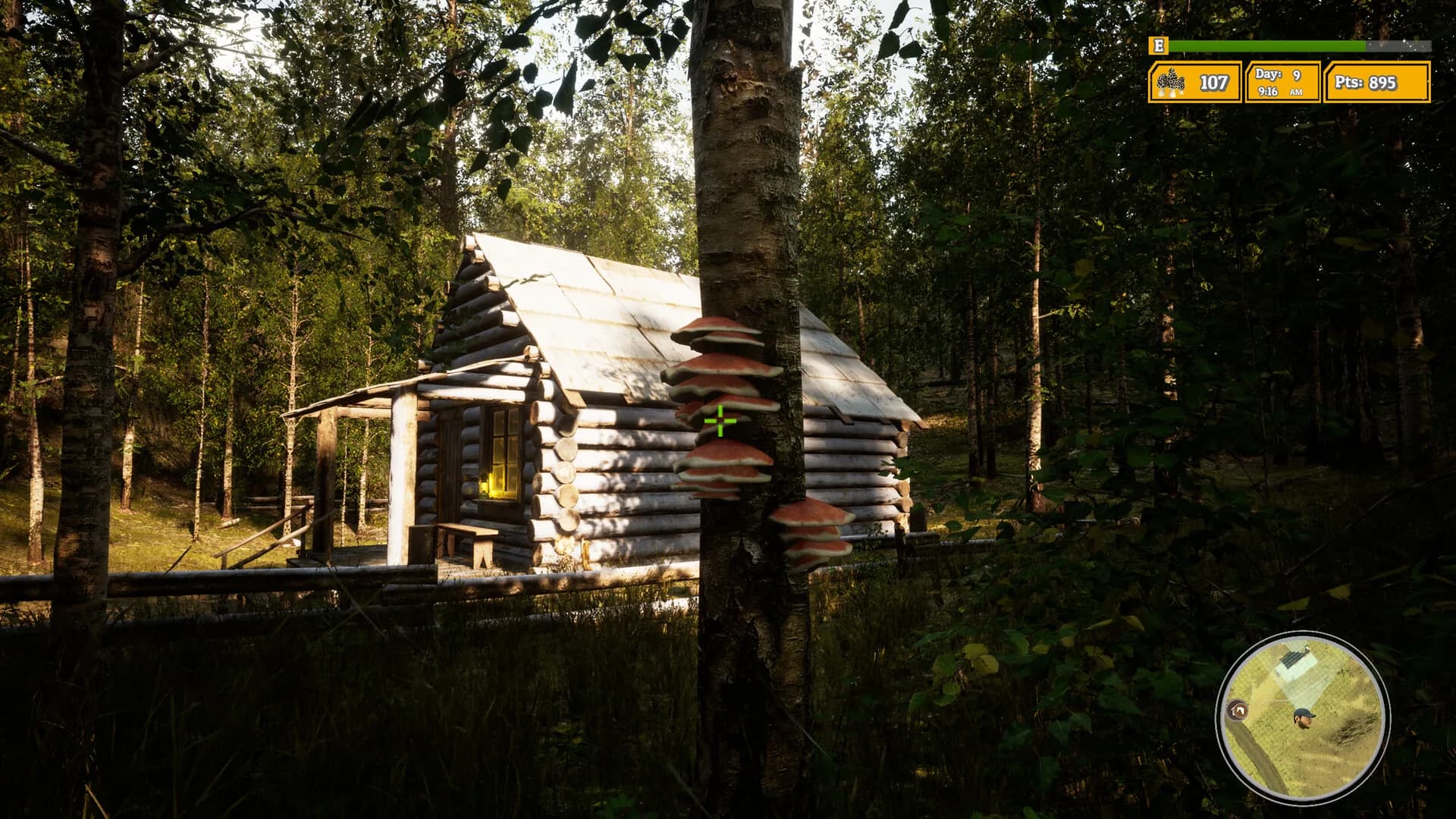 Morels: The Hunt 2 görsel 2