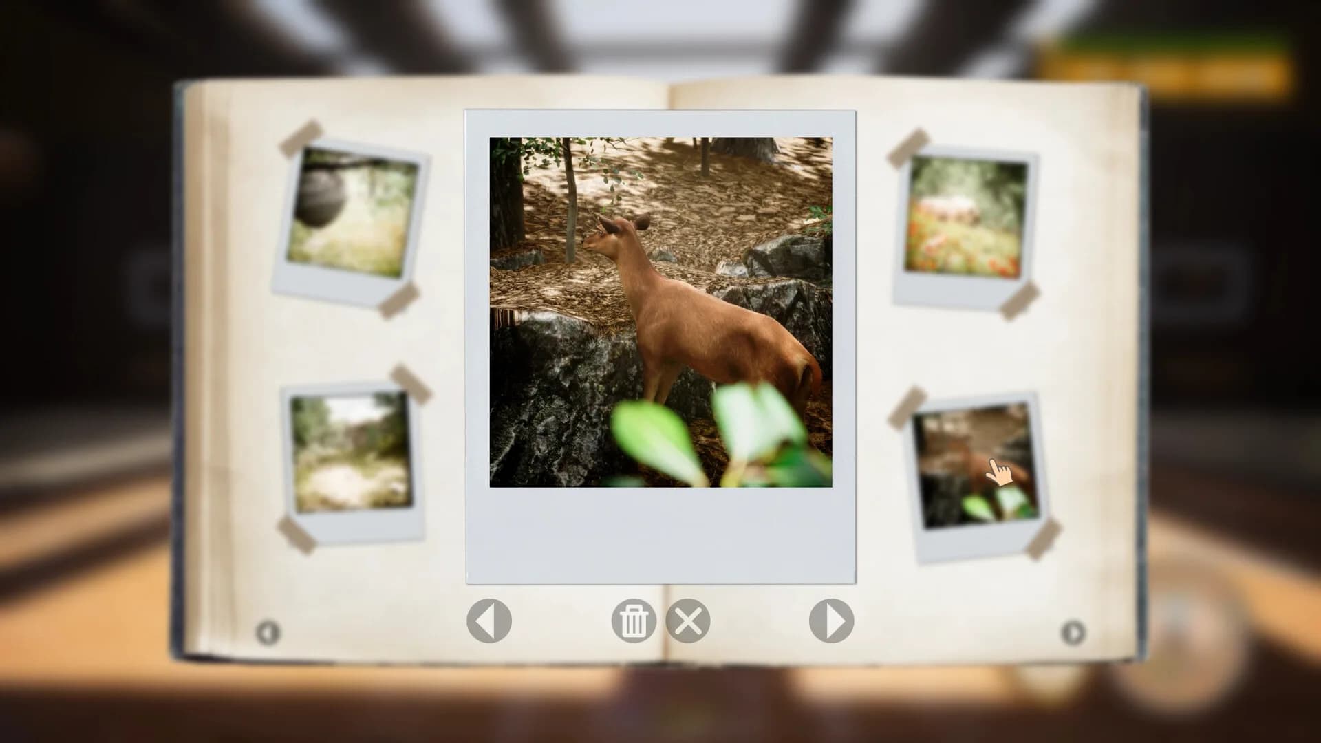 Morels: The Hunt 2 görsel 13