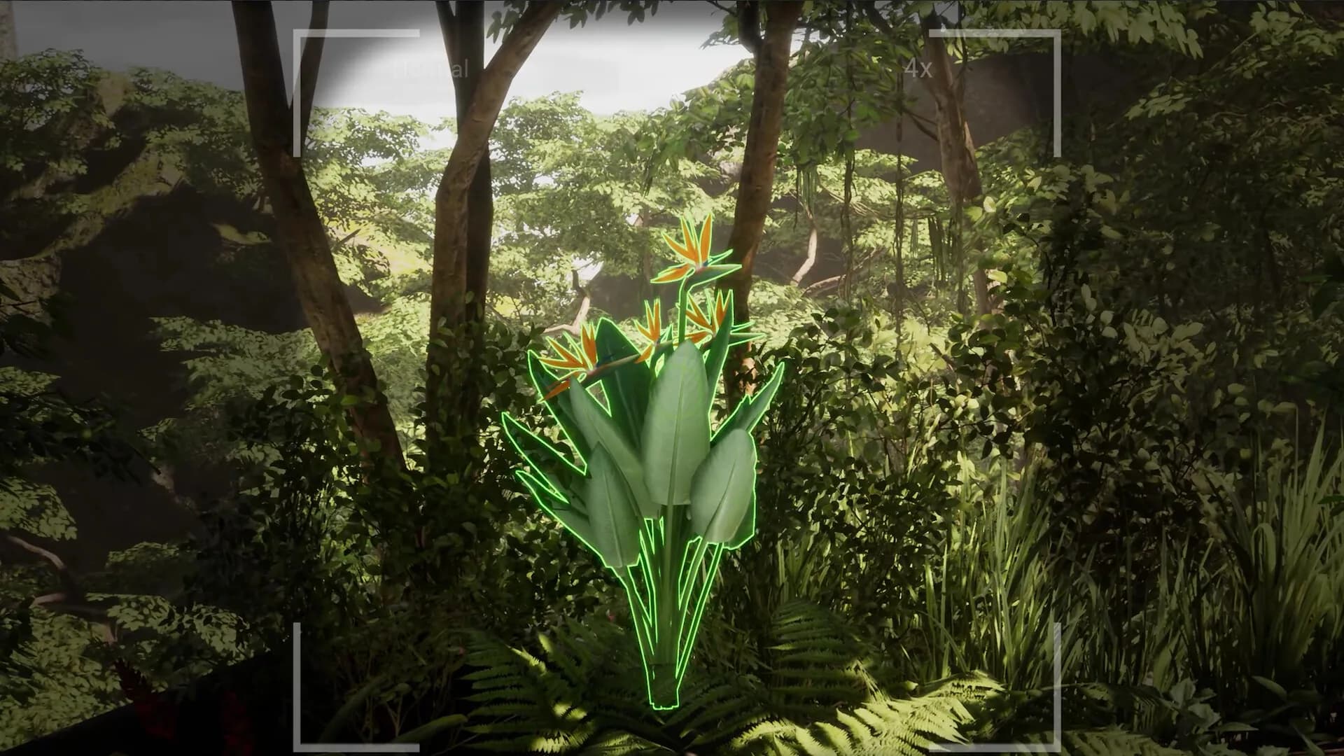 Morels: The Hunt 2 görsel 17