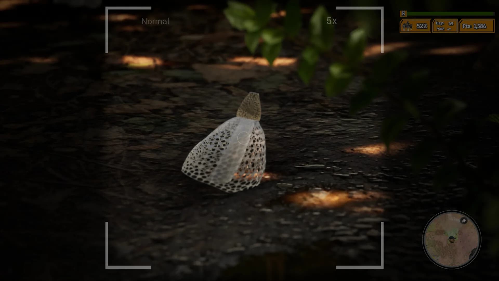 Morels: The Hunt 2 görsel 18