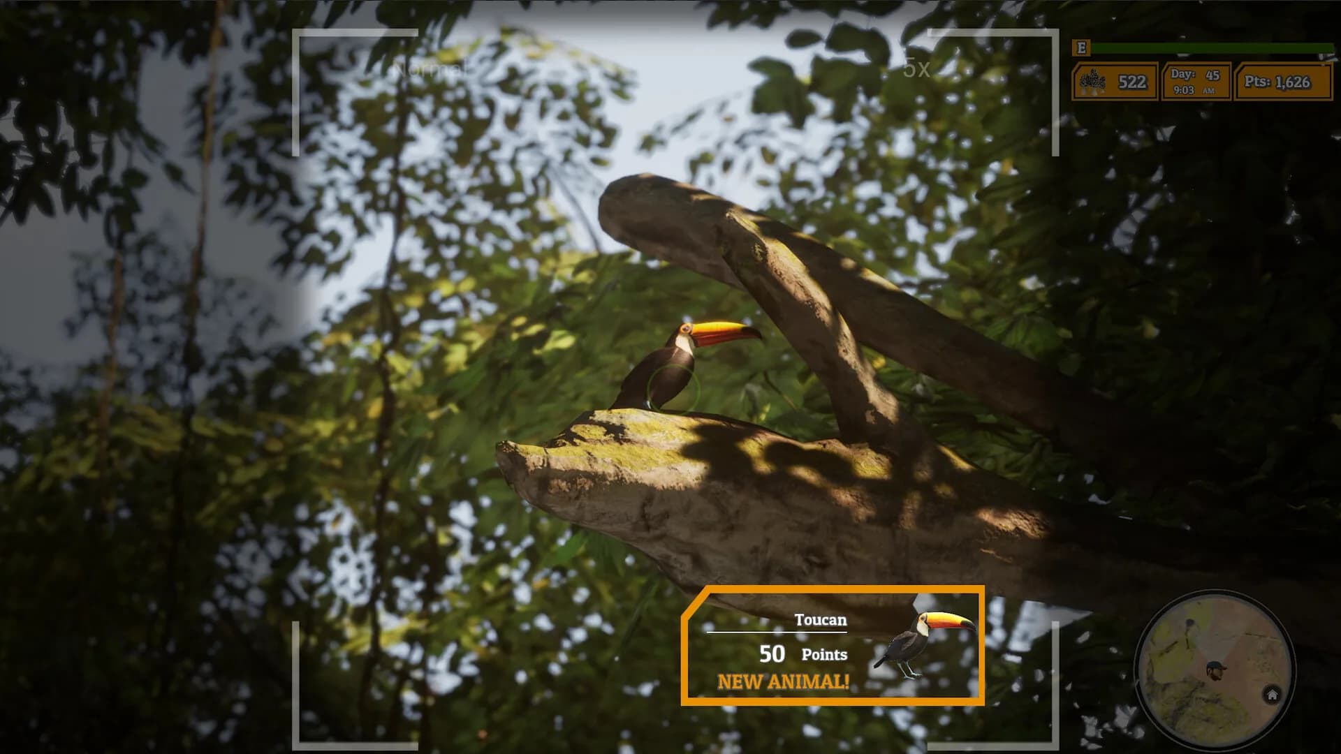 Morels: The Hunt 2 görsel 23
