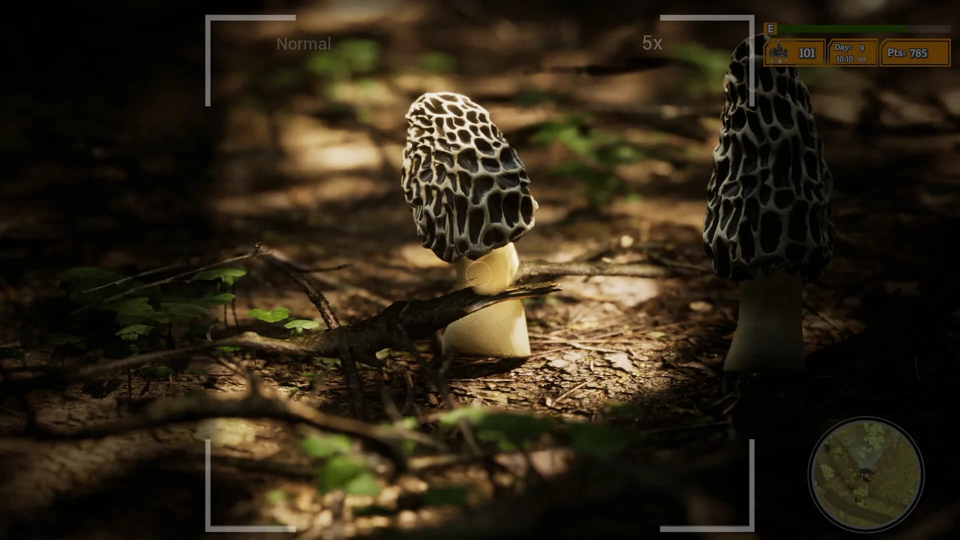 Morels: The Hunt 2 görsel 24