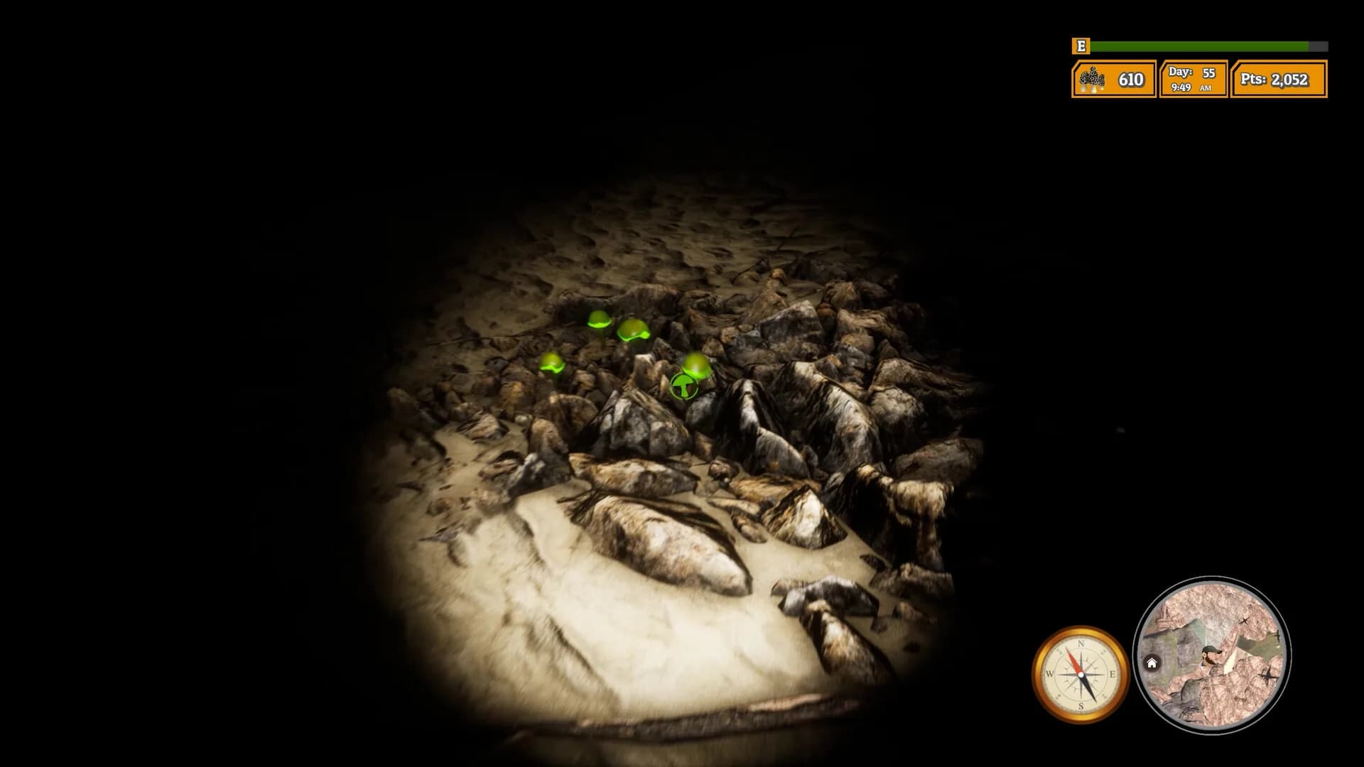 Morels: The Hunt 2 görsel 26
