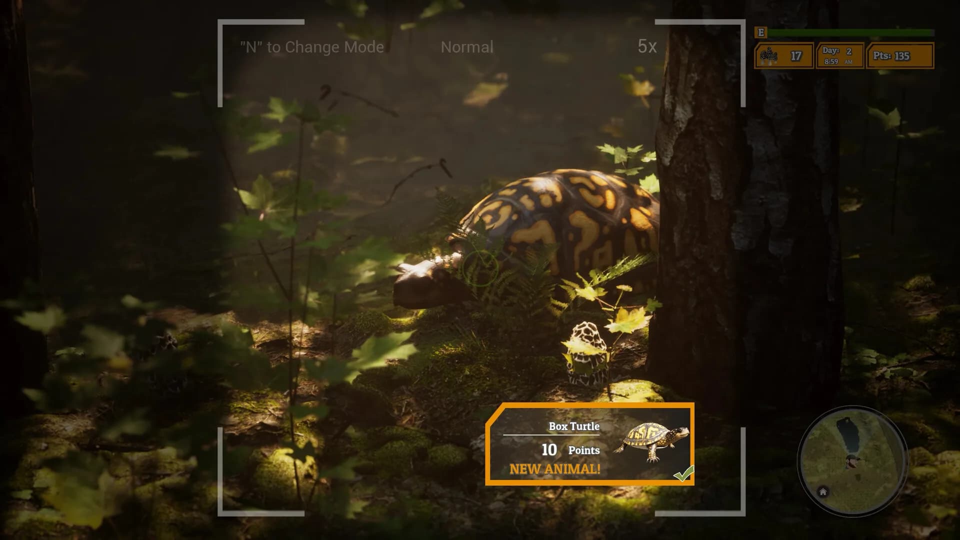 Morels: The Hunt 2 görsel 8