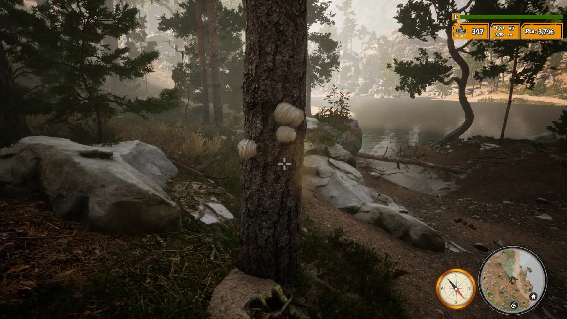 Morels: The Hunt 2 görsel 9