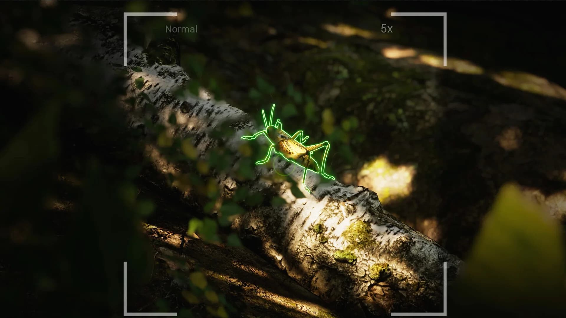 Morels: The Hunt 2 görsel 10