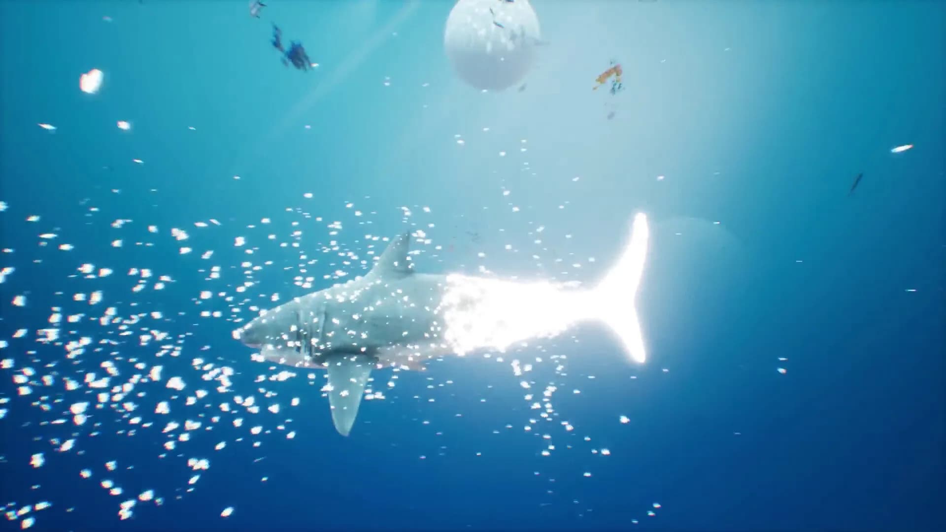 More Than Human görsel 2