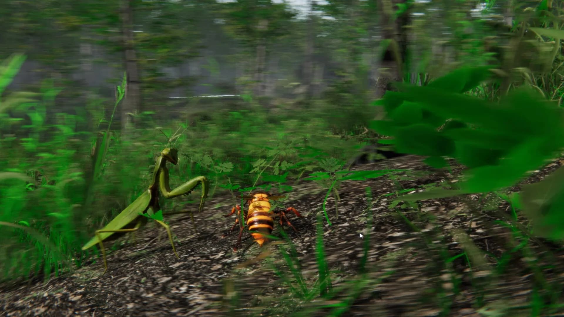 Giant Hornet görsel 2
