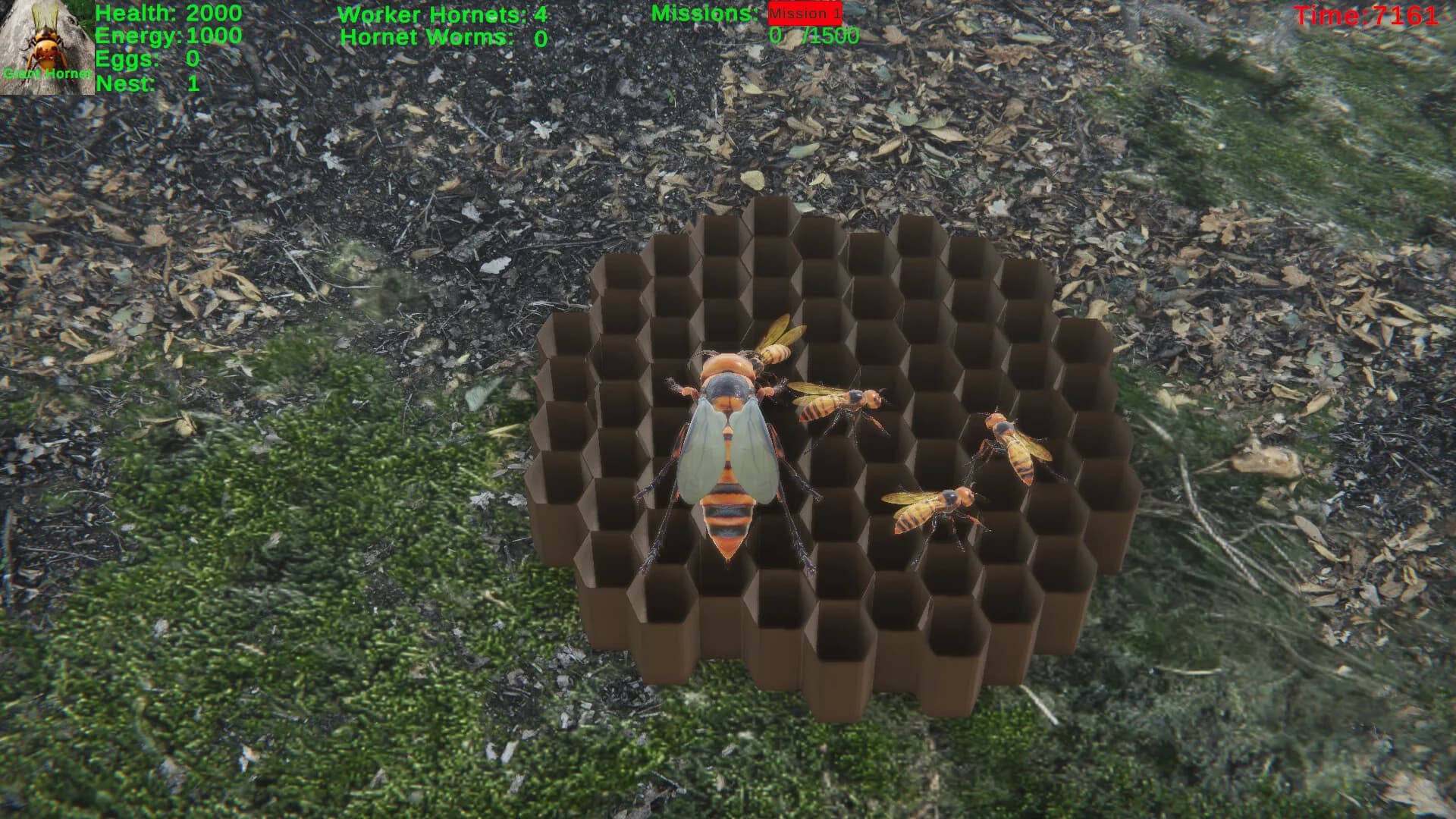 Giant Hornet görsel 5