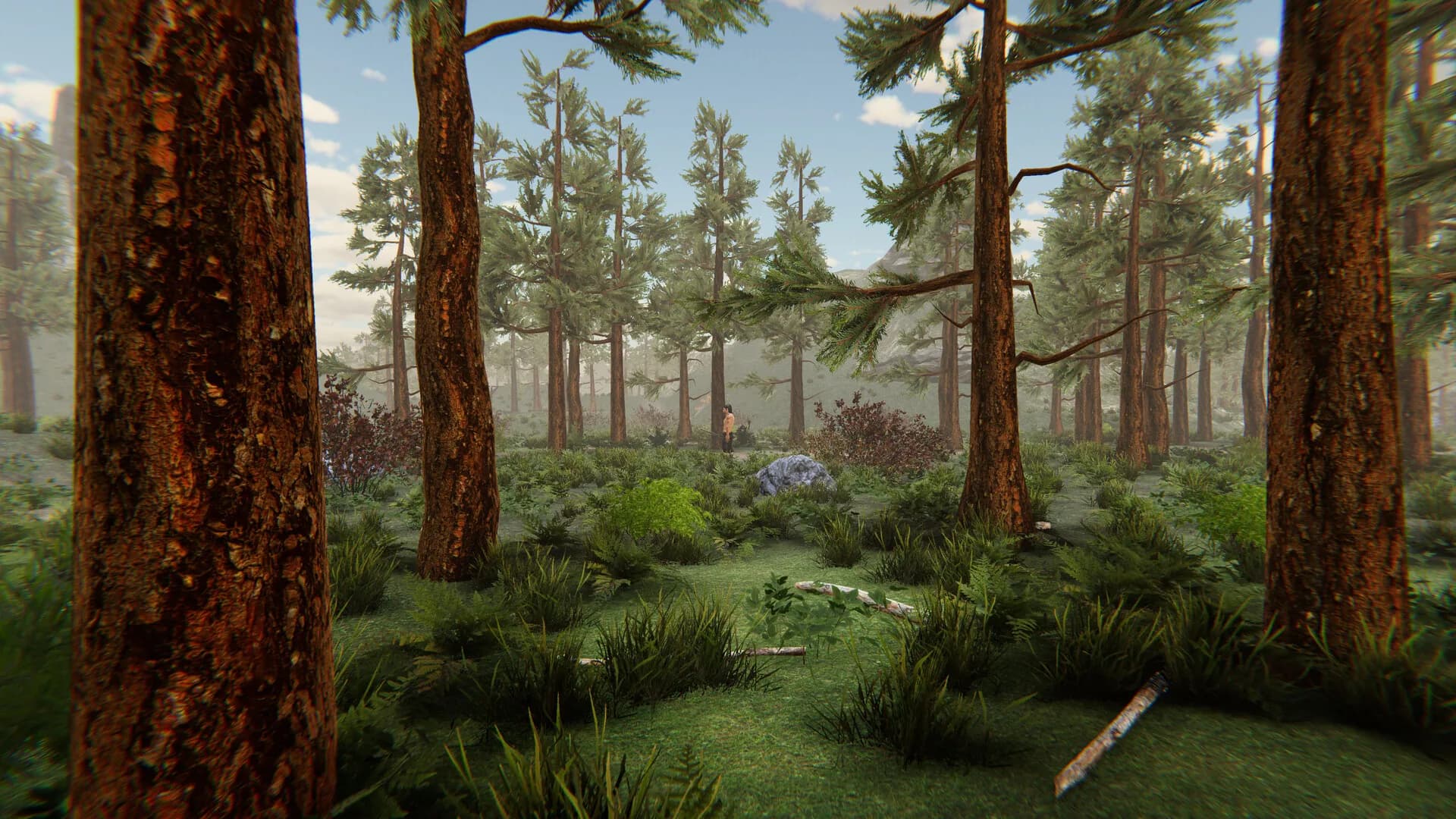 Narava RPG görsel 15
