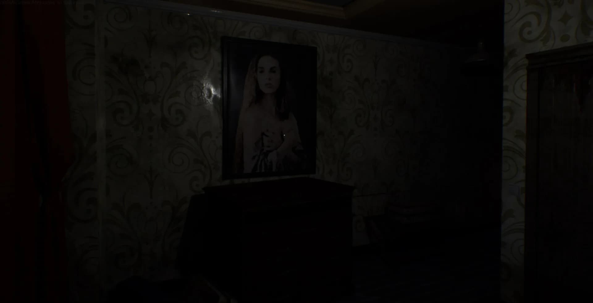 Hotel in the Dark görsel 11