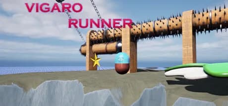 Vigaro Runner görsel 1