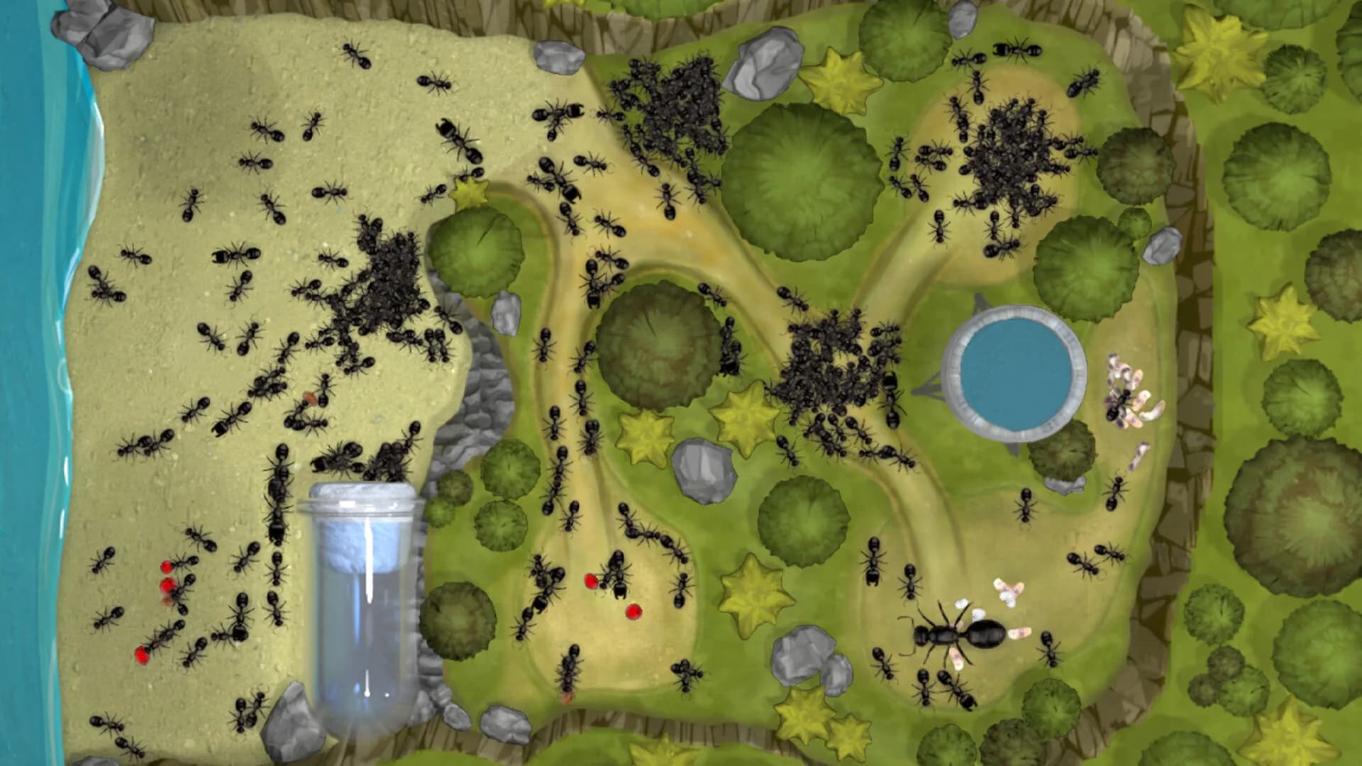 Ant Farm Simulator görsel 5