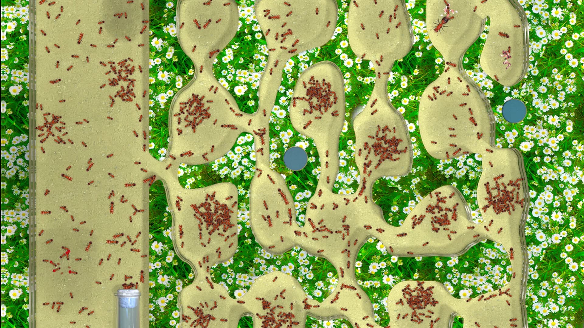 Ant Farm Simulator görsel 6
