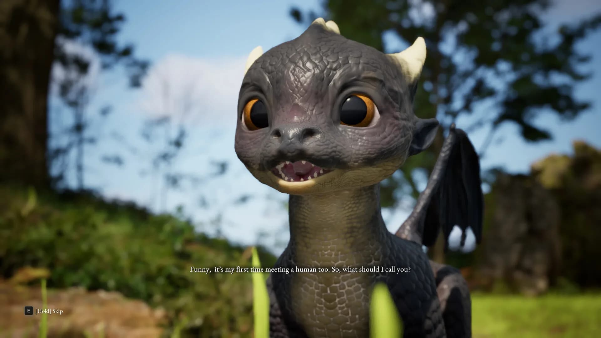 Dragon survival görsel 2