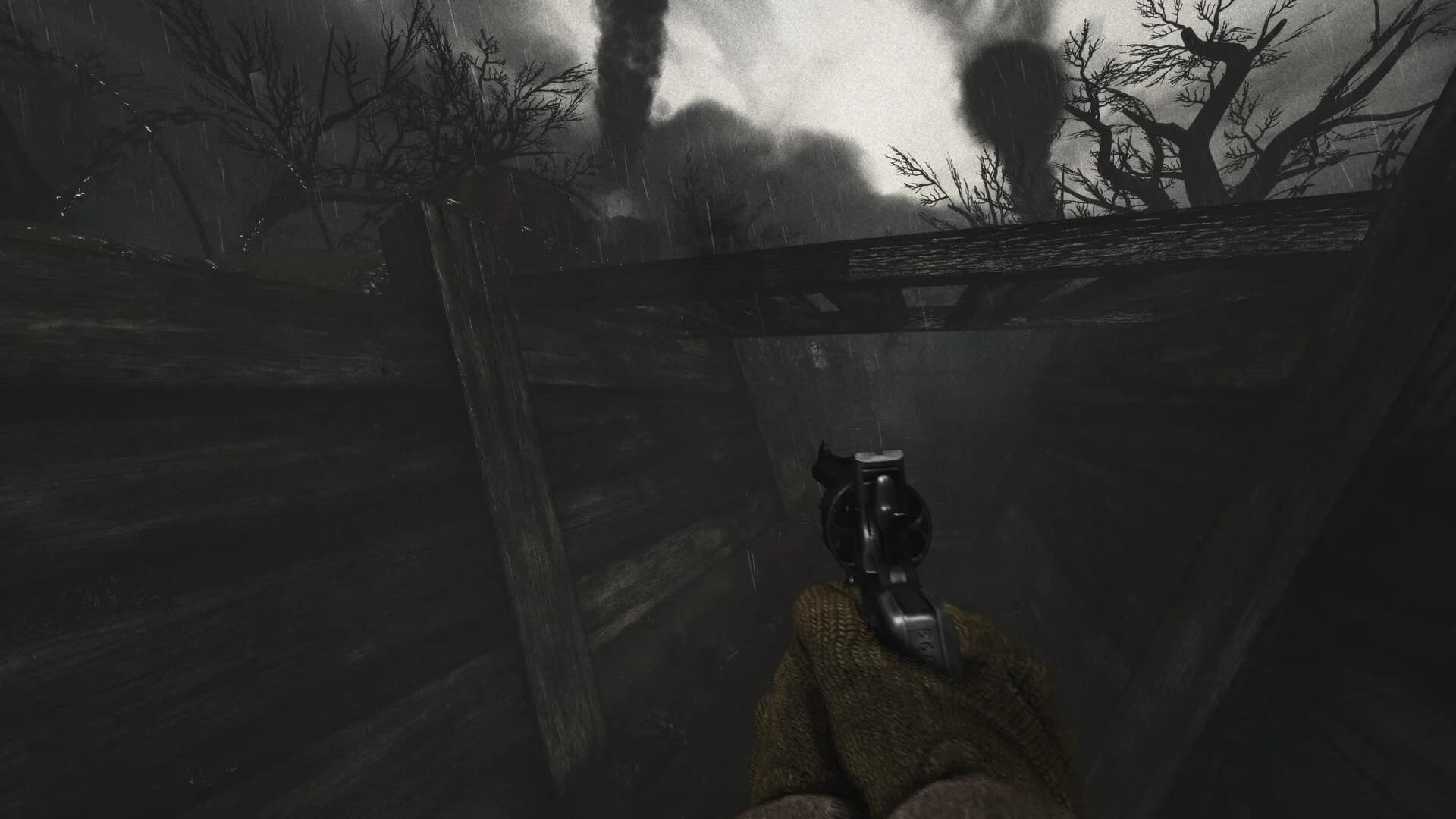 SCP: Valravn görsel 6