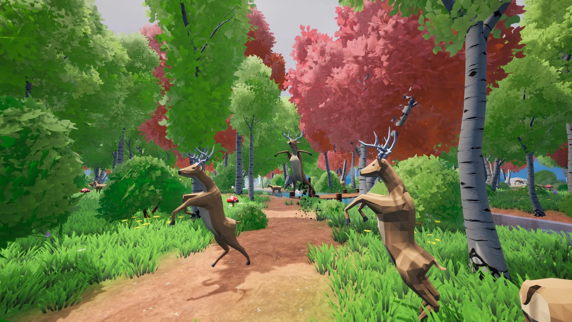 Oh Deer görsel 2