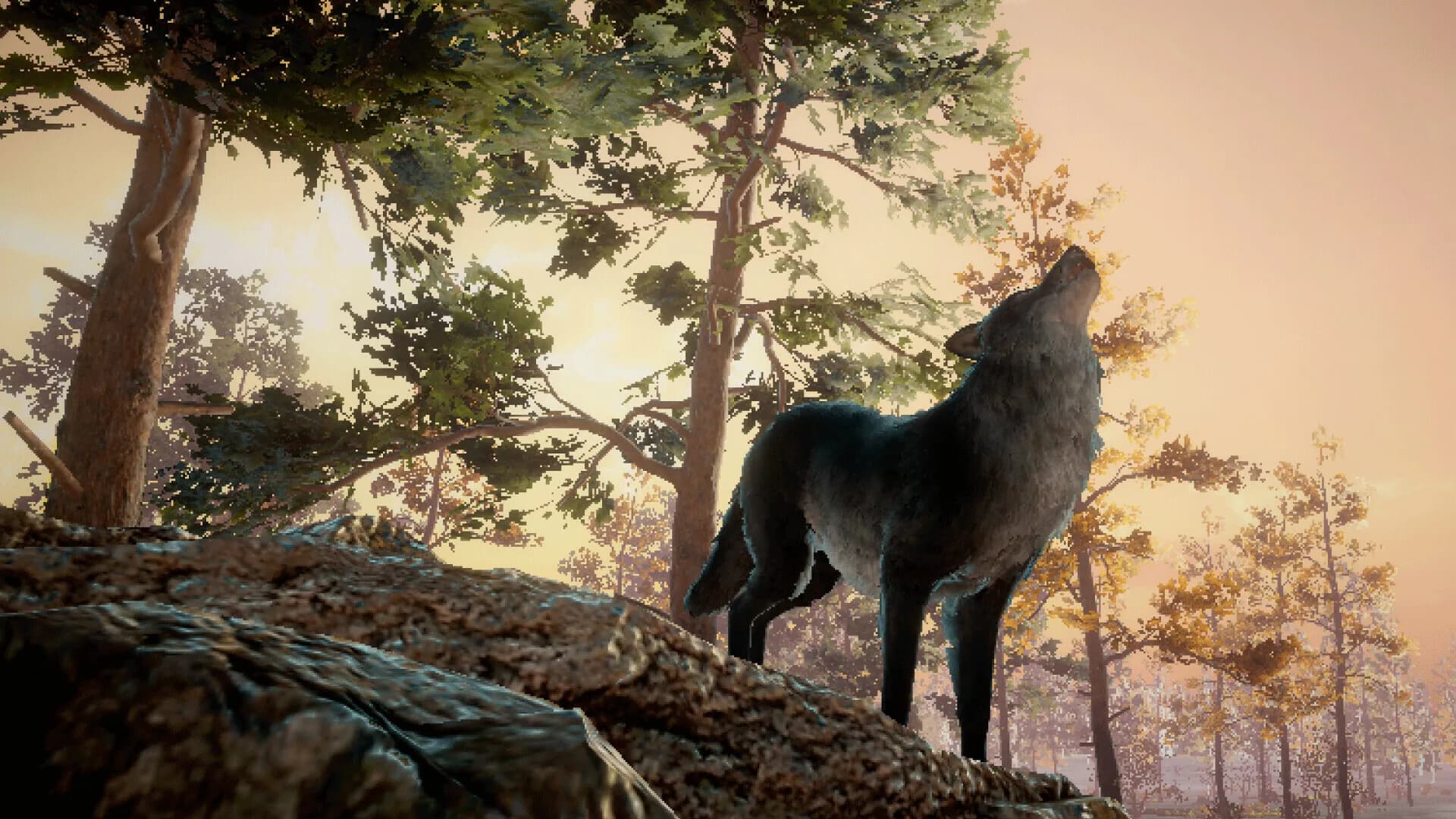 Wolf Survival görsel 5