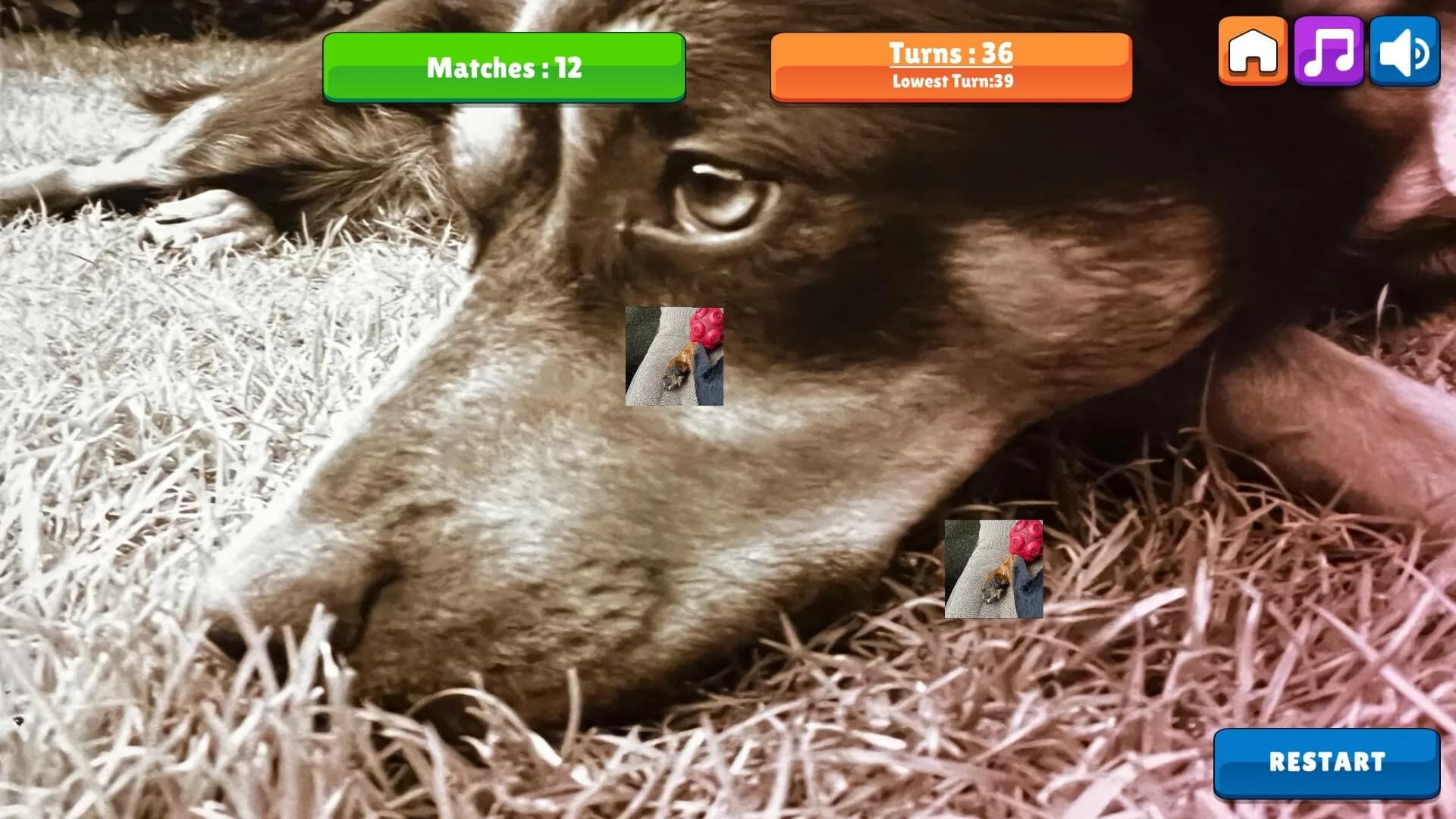 OG Memory: Kira Maus görsel 2