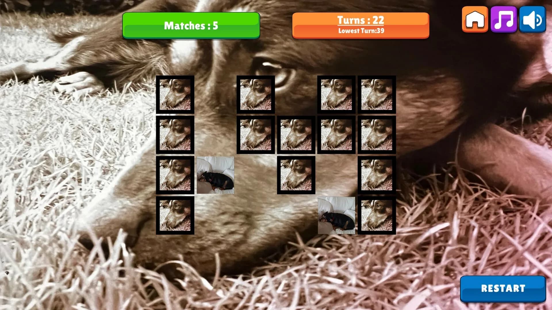 OG Memory: Kira Maus görsel 3