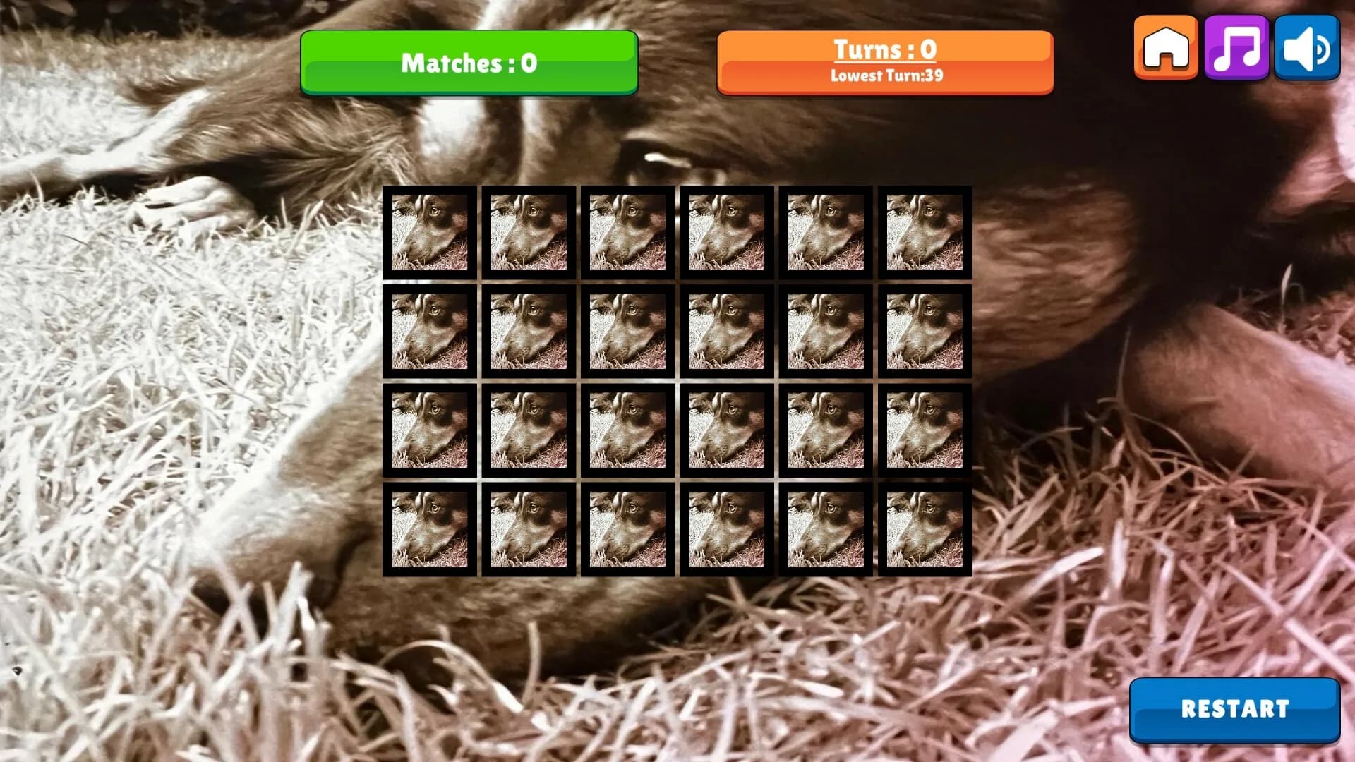 OG Memory: Kira Maus görsel 5