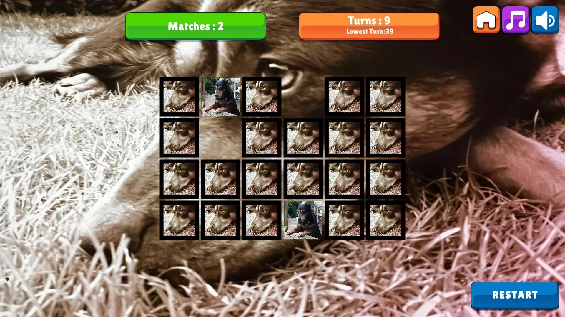 OG Memory: Kira Maus görsel 6