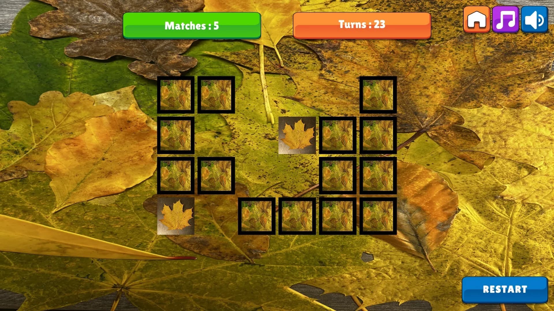 OG Memory:  Fall 2K23 görsel 2