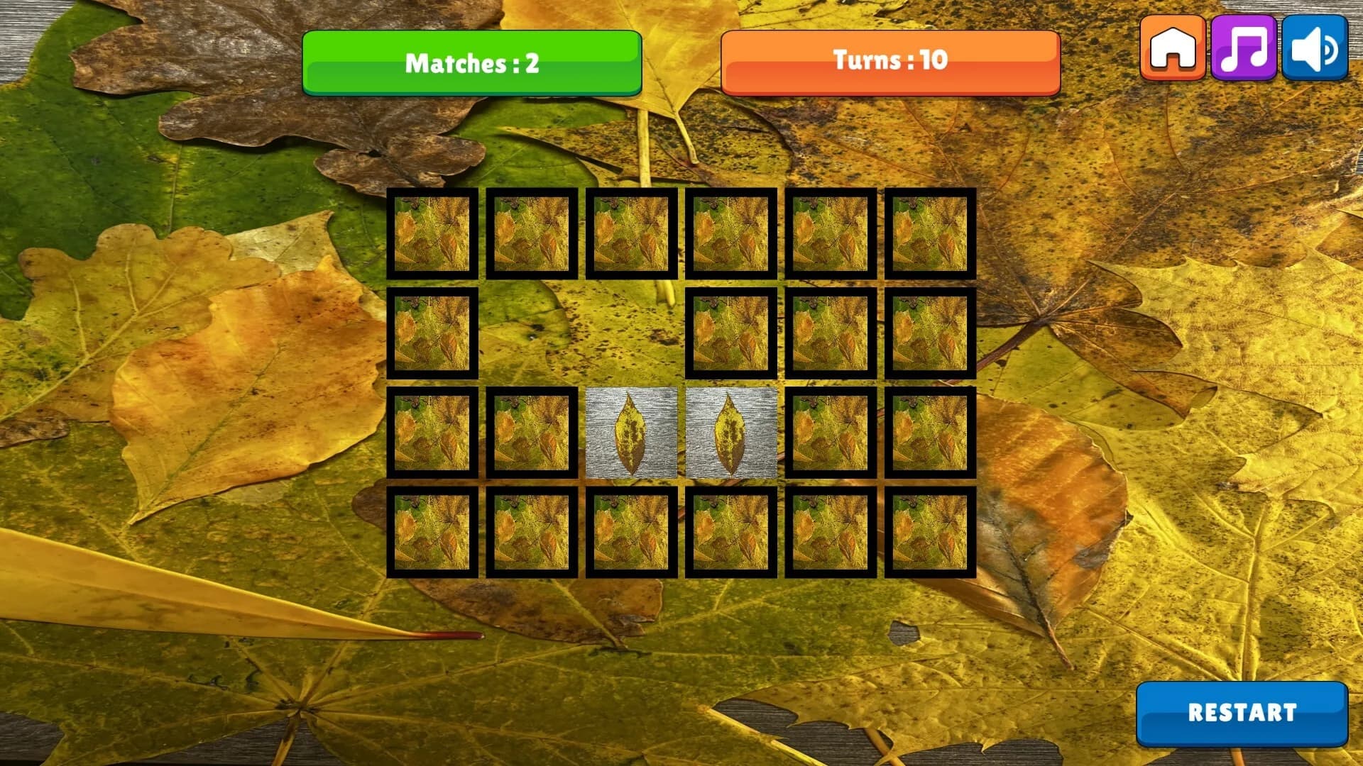 OG Memory:  Fall 2K23 görsel 3
