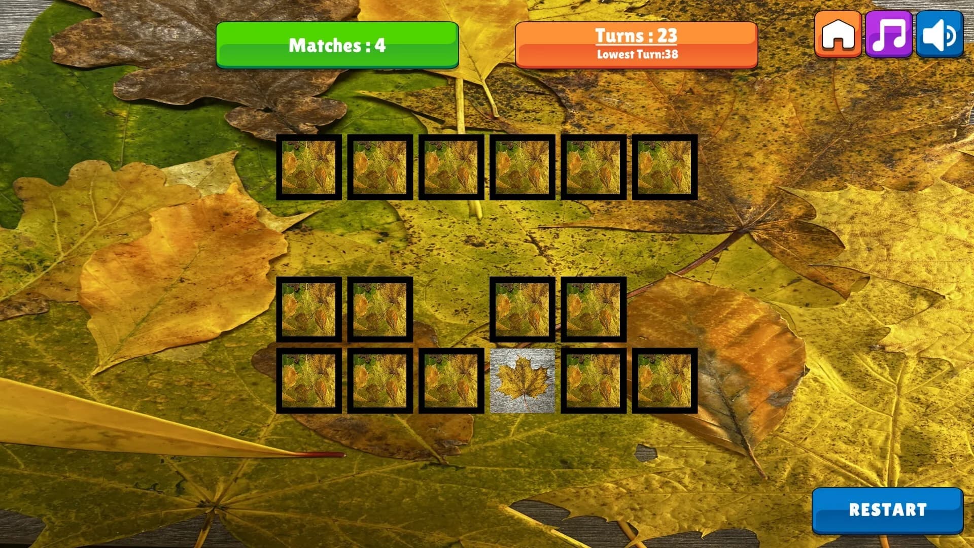 OG Memory:  Fall 2K23 görsel 4