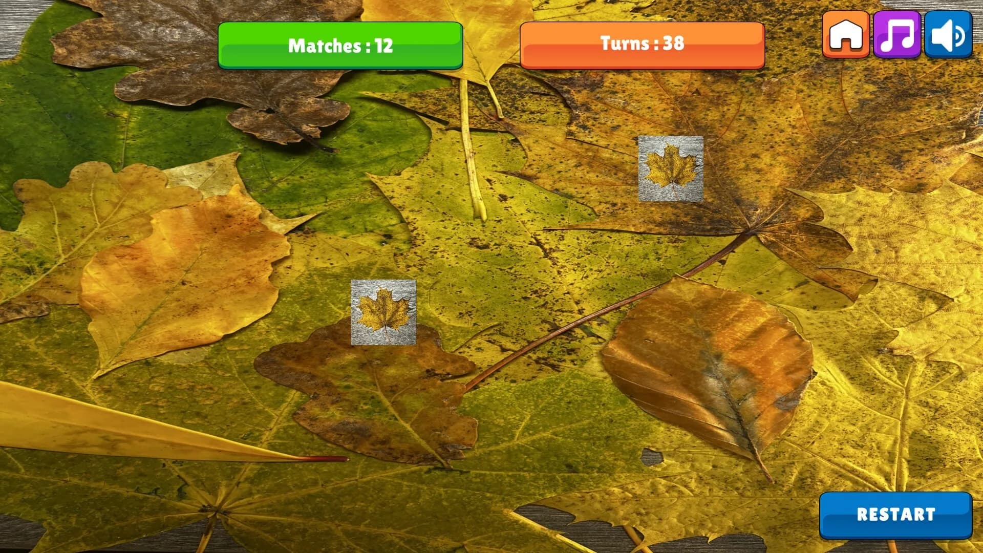 OG Memory:  Fall 2K23 görsel 6