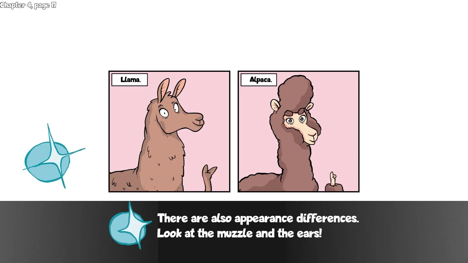 Alpaca Wonders Why görsel 4