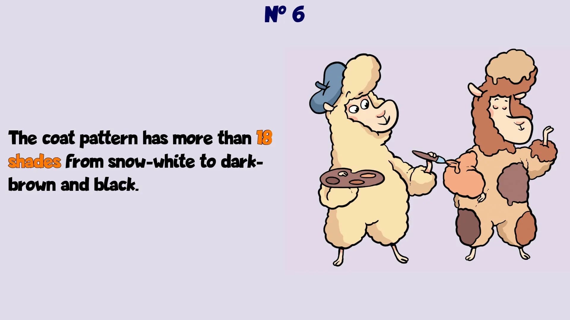 Alpaca Wonders Why görsel 8
