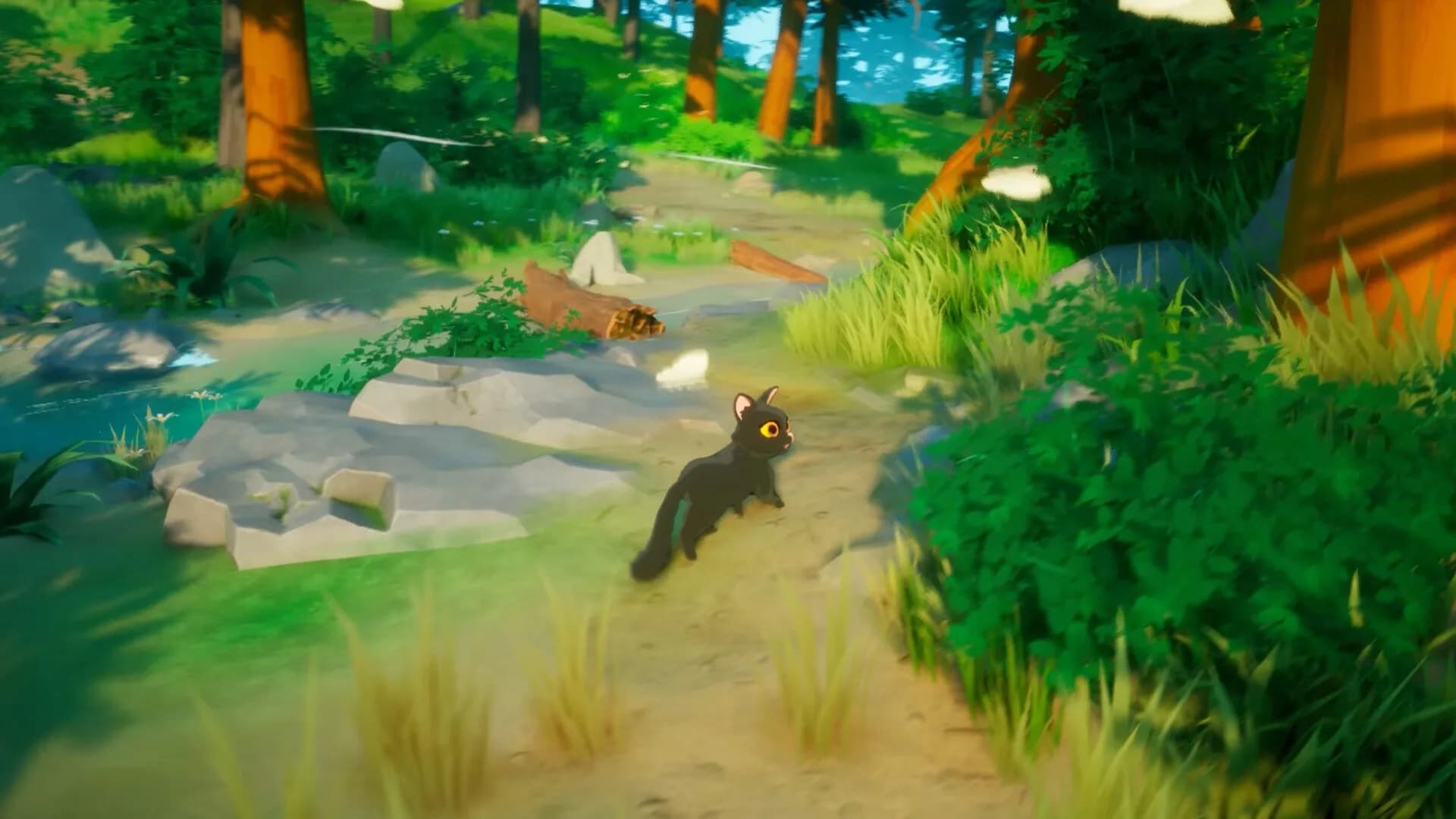 Paws Trail görsel 2