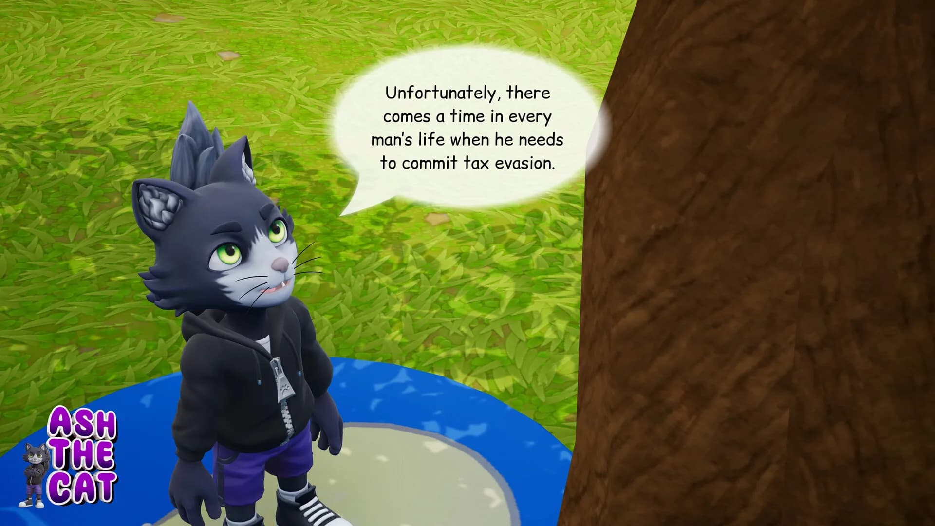 Ash the Cat görsel 4