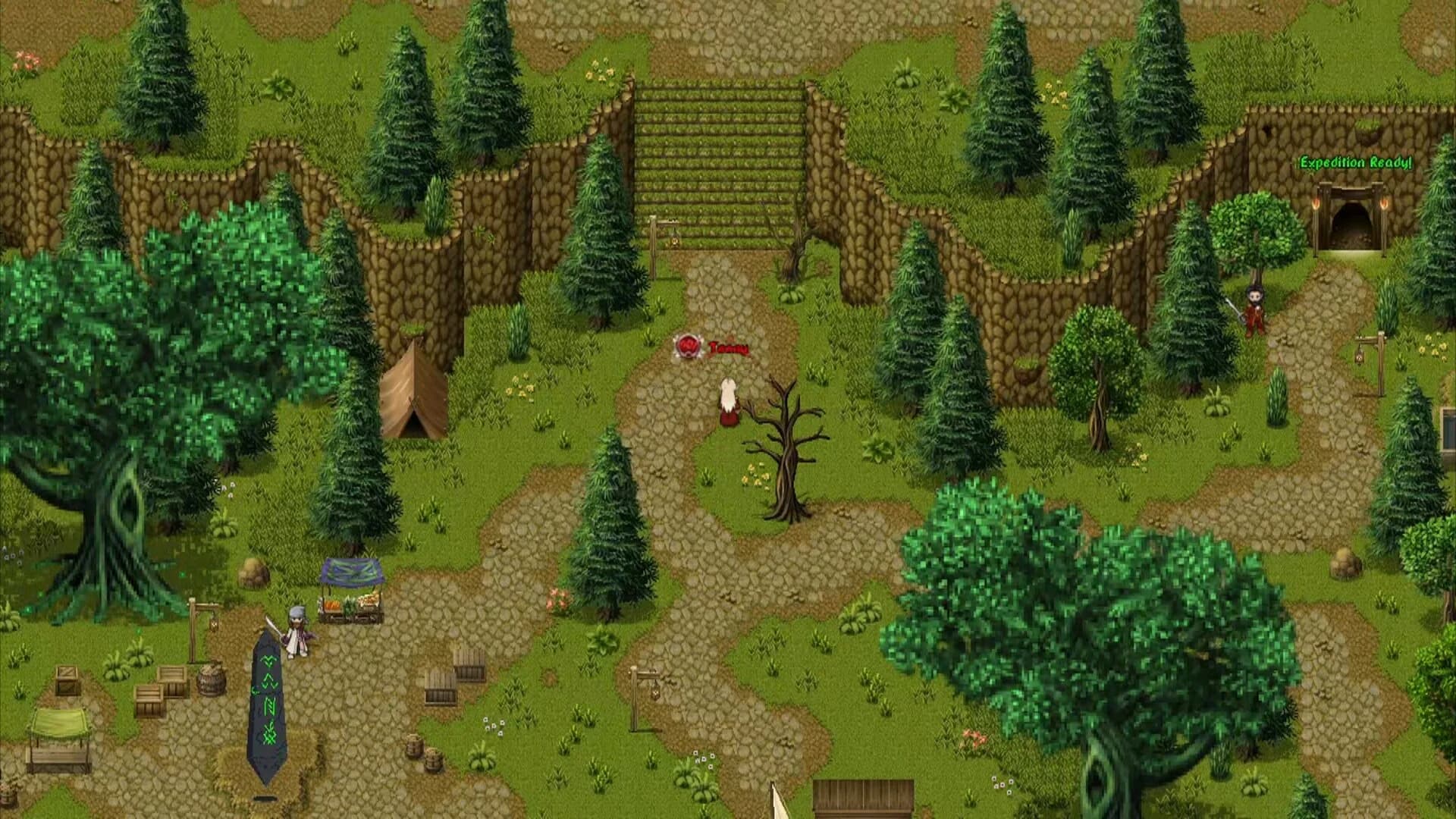Incursion2D görsel 5