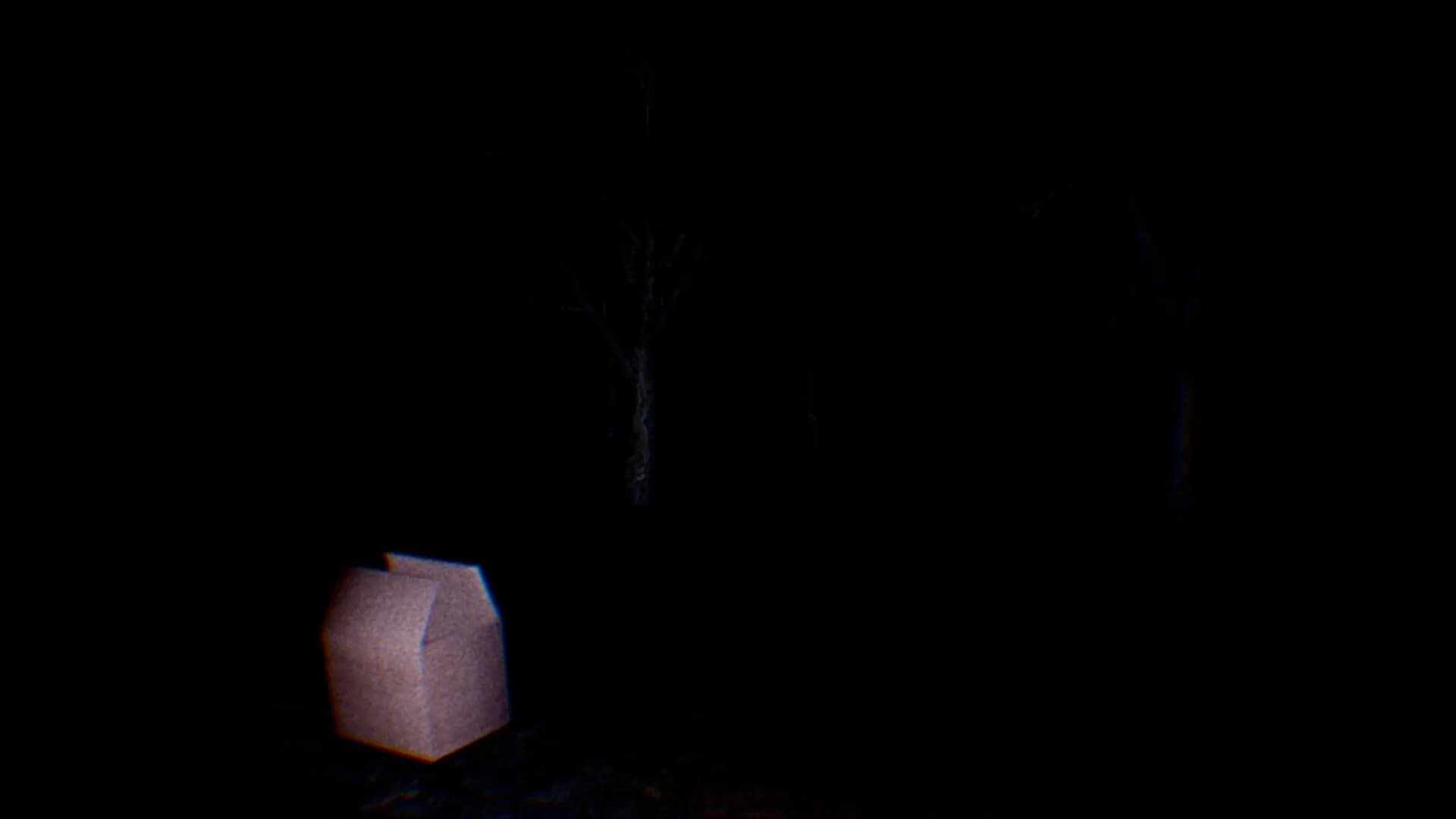 Mugger Party görsel 4