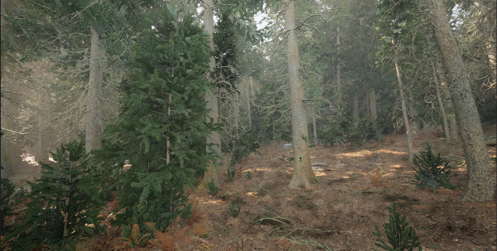Lost Footage görsel 16