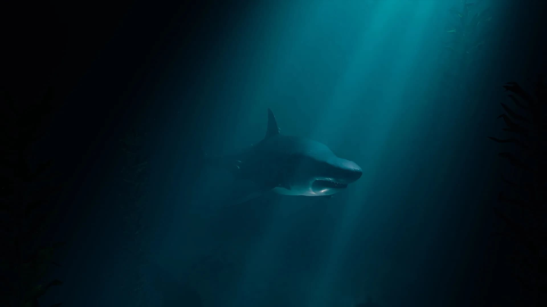 Ocean Gap görsel 2