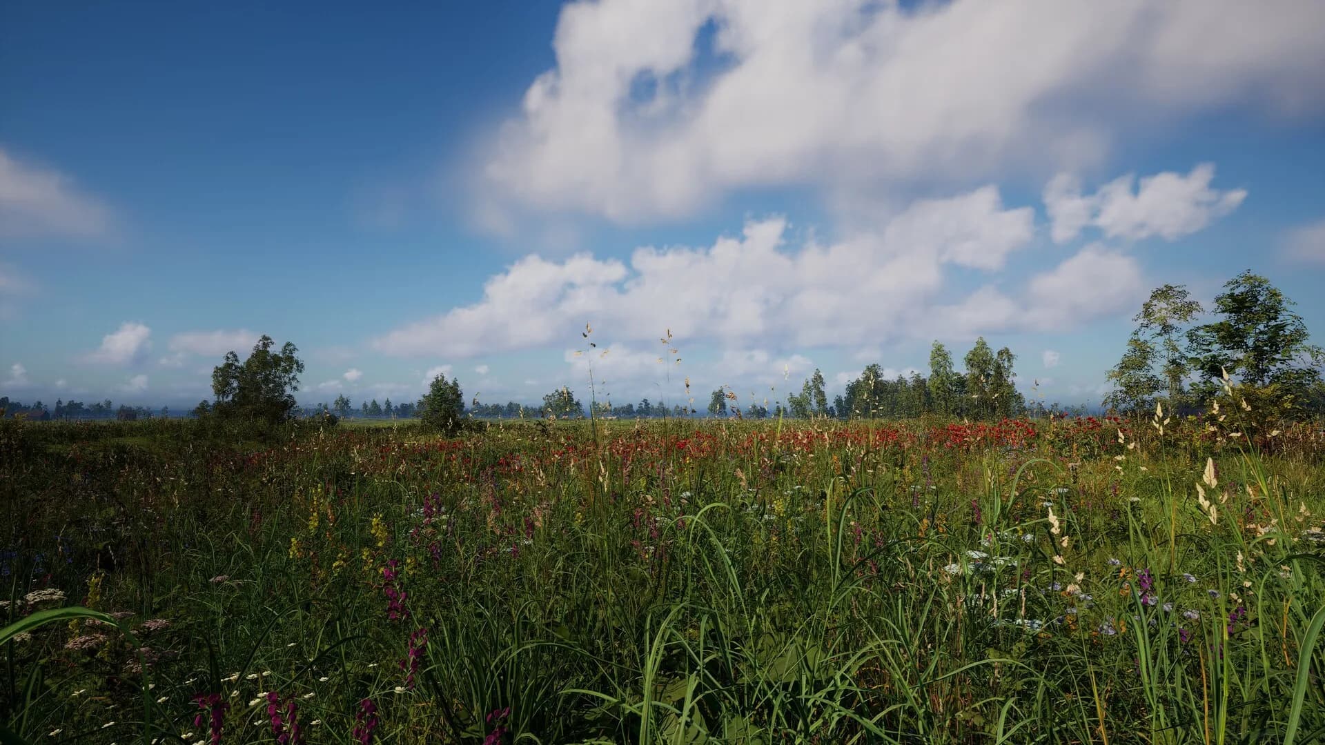 Russian Soul Simulator görsel 2
