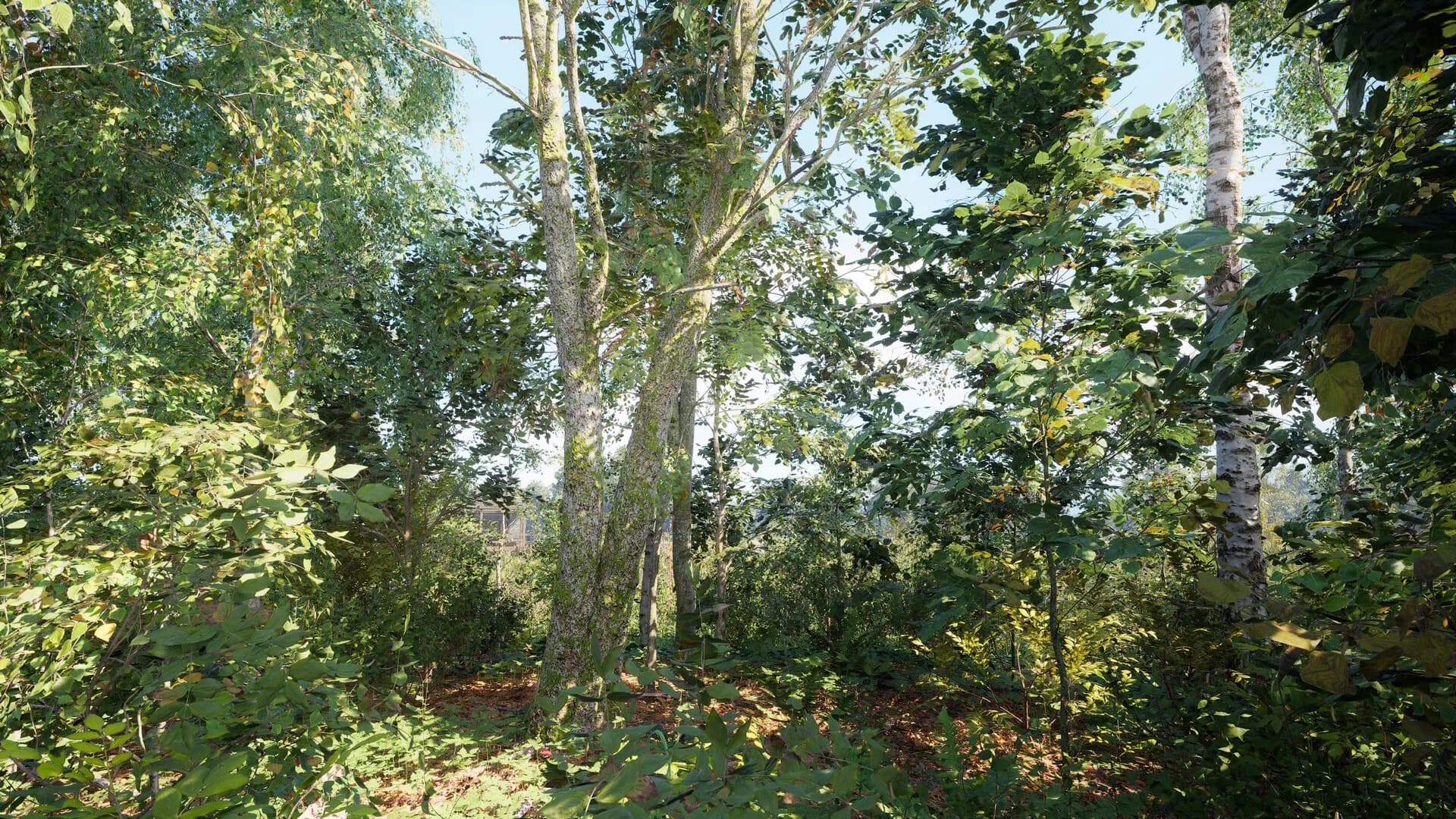 Russian Soul Simulator görsel 14