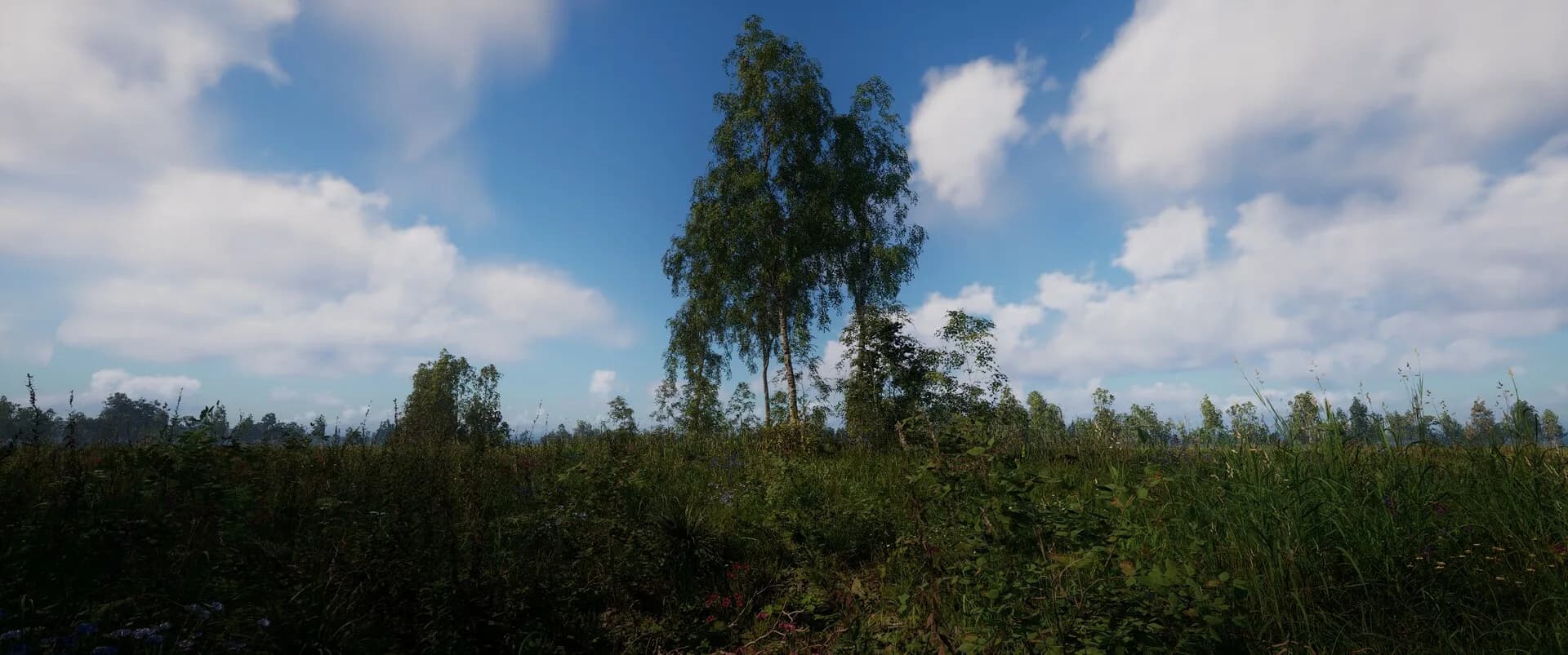 Russian Soul Simulator görsel 16
