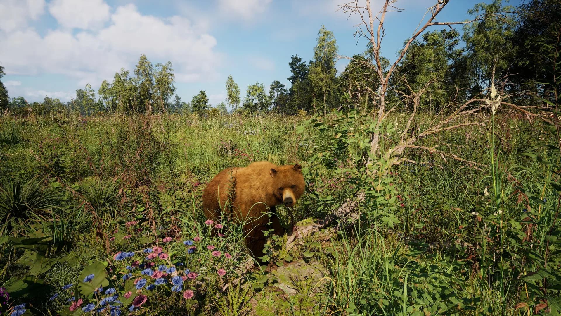 Russian Soul Simulator görsel 6