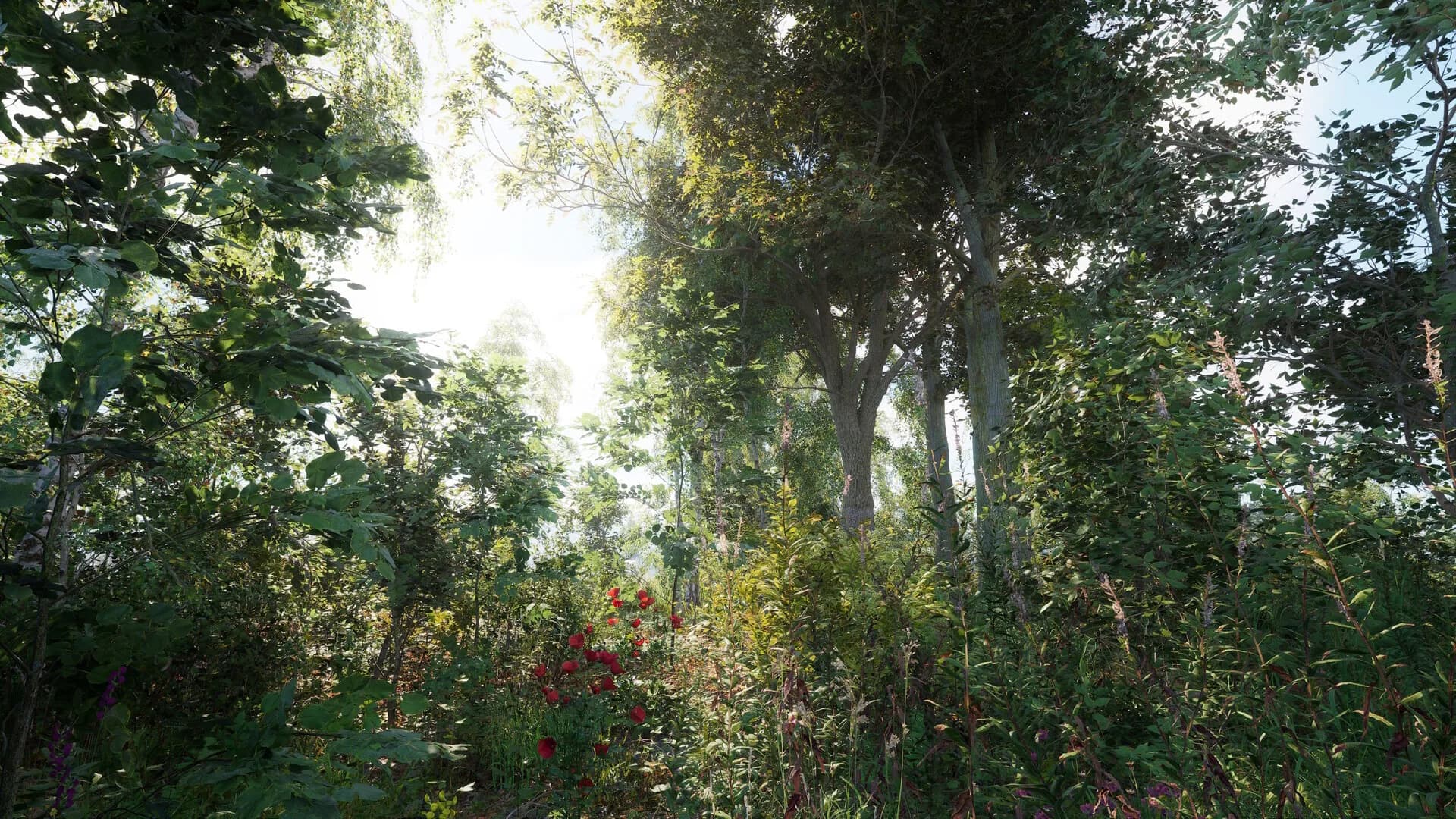 Russian Soul Simulator görsel 11