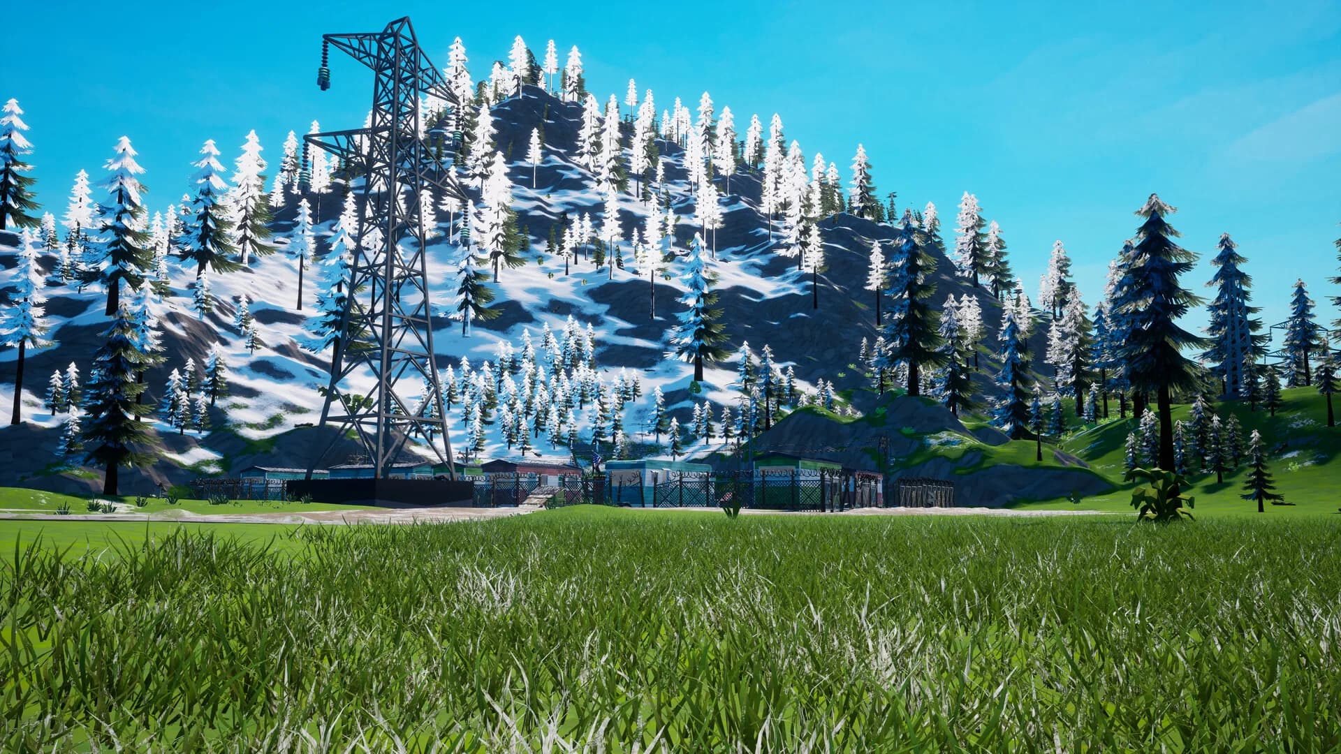 PolyZ görsel 8
