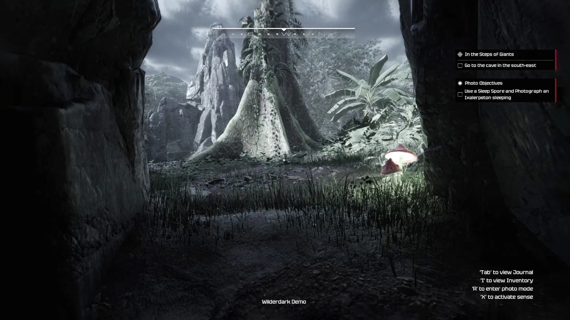 Wilderdark görsel 4