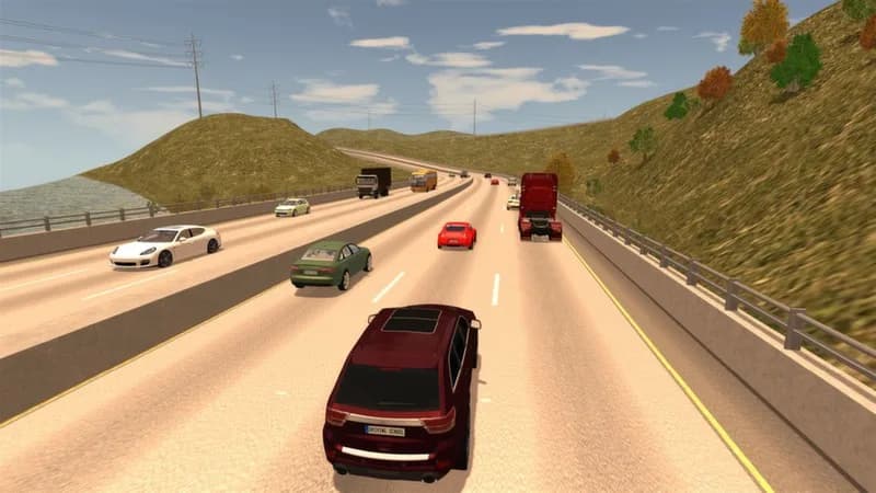 Driving School Simulator görsel 11