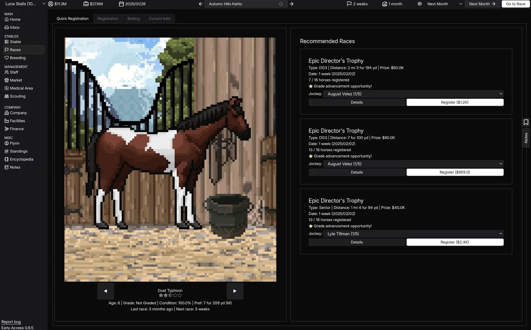 Horse Racing Manager görsel 11