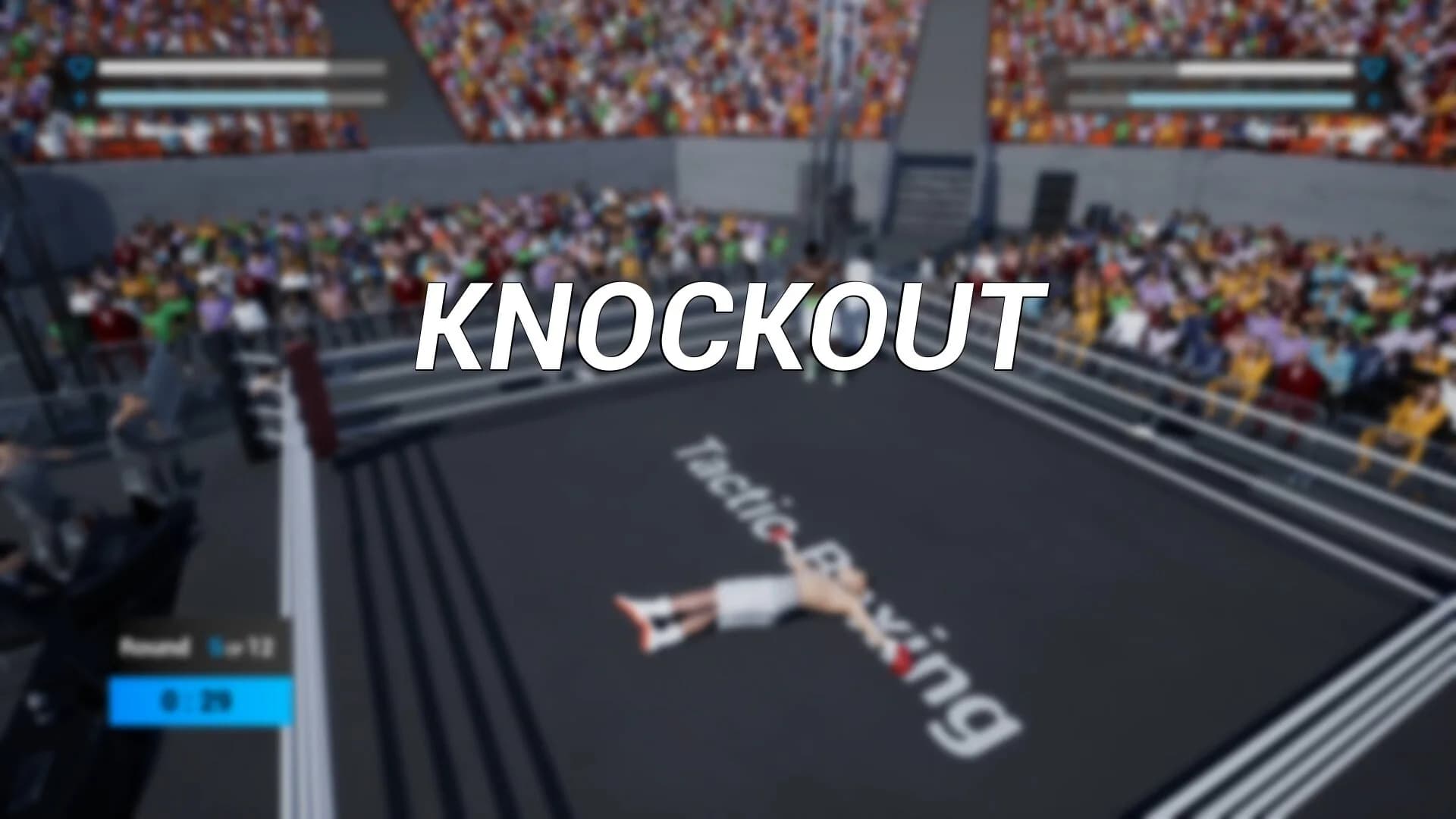 Tactic Boxing görsel 15