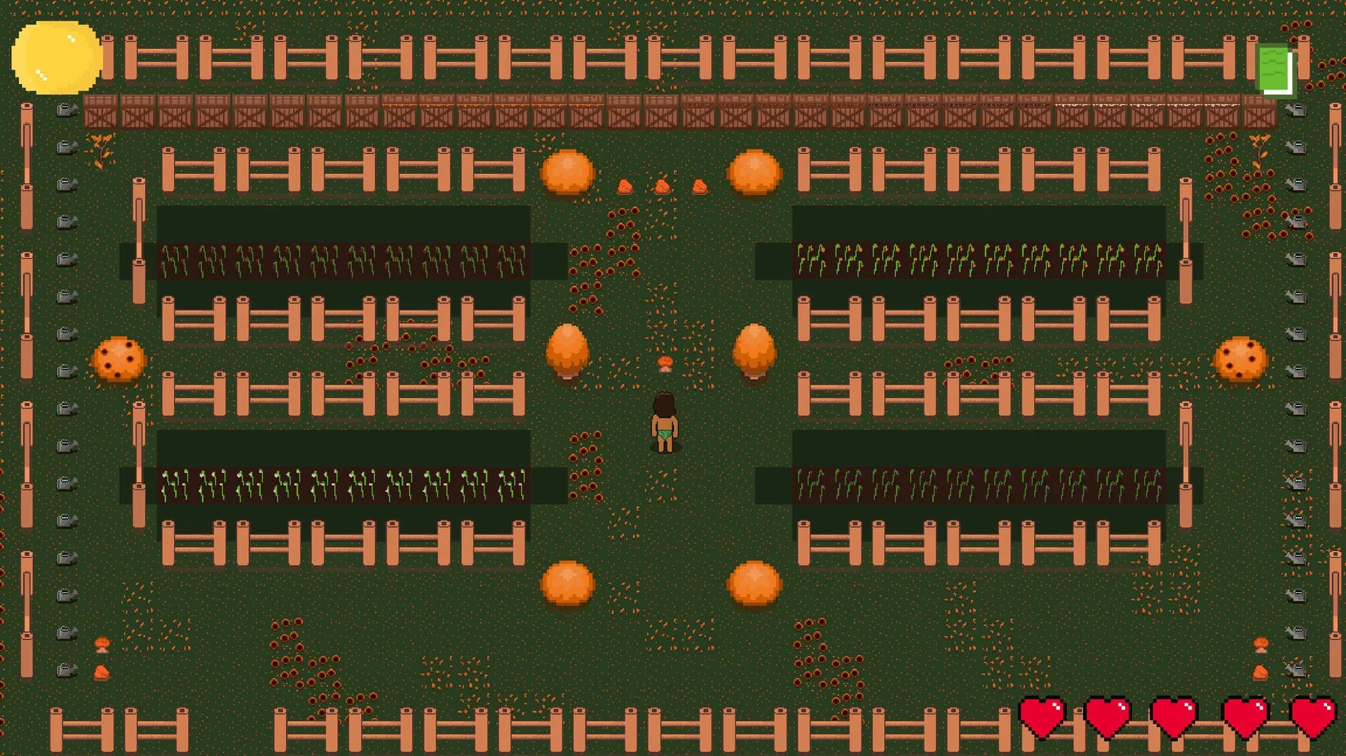 Foragery görsel 2